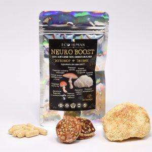Нейро Буст (Мухомор + Ежовик), Neuro Boost (Fly Agaric + Lion's Mane), EcoHuman