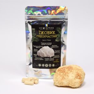 Ежовик Гребенчатый (Lion's Mane), EcoHuman