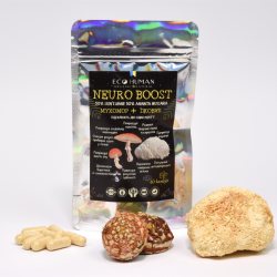 Нейро Буст (Мухомор + Ежовик), Neuro Boost (Fly Agaric + Lion's Mane), EcoHuman