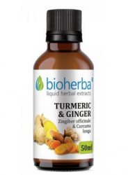 Жидкий экстракт Куркумы и имбиря (Turmeric & Ginger extract), Bioherba
