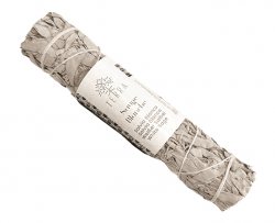Калифорнийский белый шалфей (California white sage), США