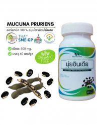 Мукуна жгучая - капсулы от панических атак, депрессии, тревожности, для повышения дофамина и либидо