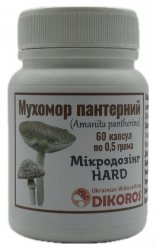 Мухомор Пантерный (Amanita pantherina), Dikoros